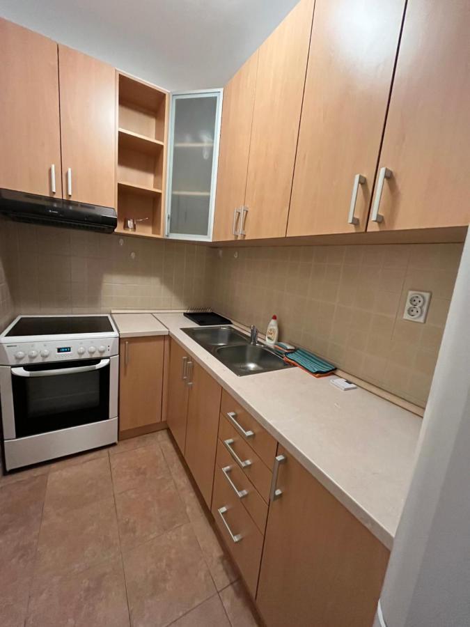 Apartment Ana - City Center Belgrád Kültér fotó